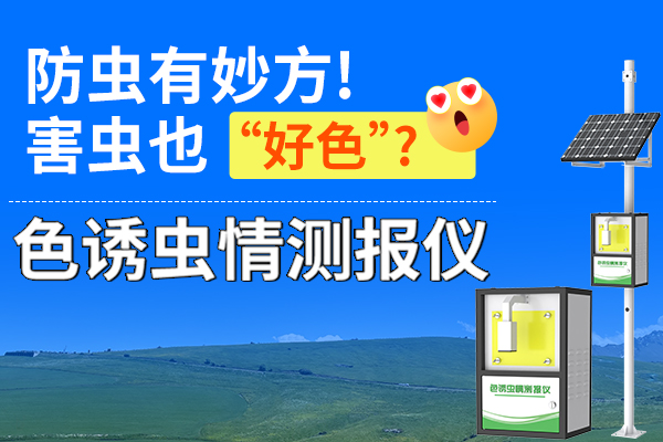 “,色誘,”,技術,助力,物理,防蟲,—,蟲情,測報,儀,不知,大家,有沒有,發現,為何,穿,黃色,衣服,進,果園,會,沾滿,小蟲,茶園,、,菜園,掛著,黃,綠,藍,各色,